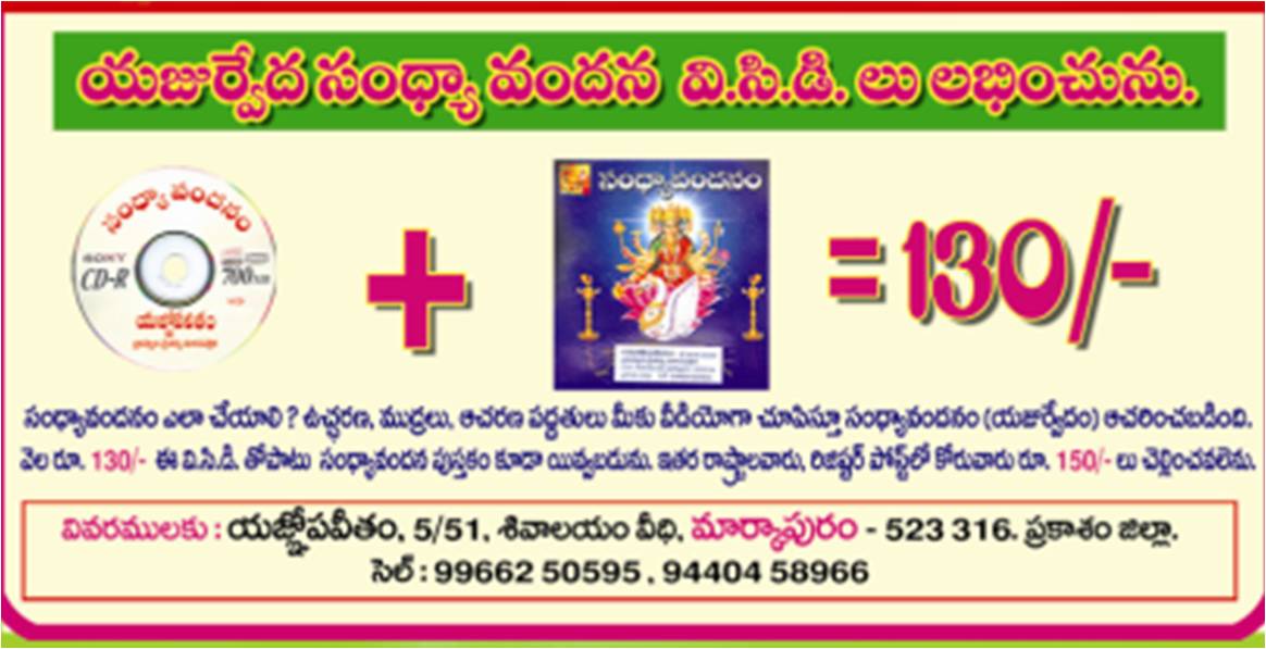 advertisment1